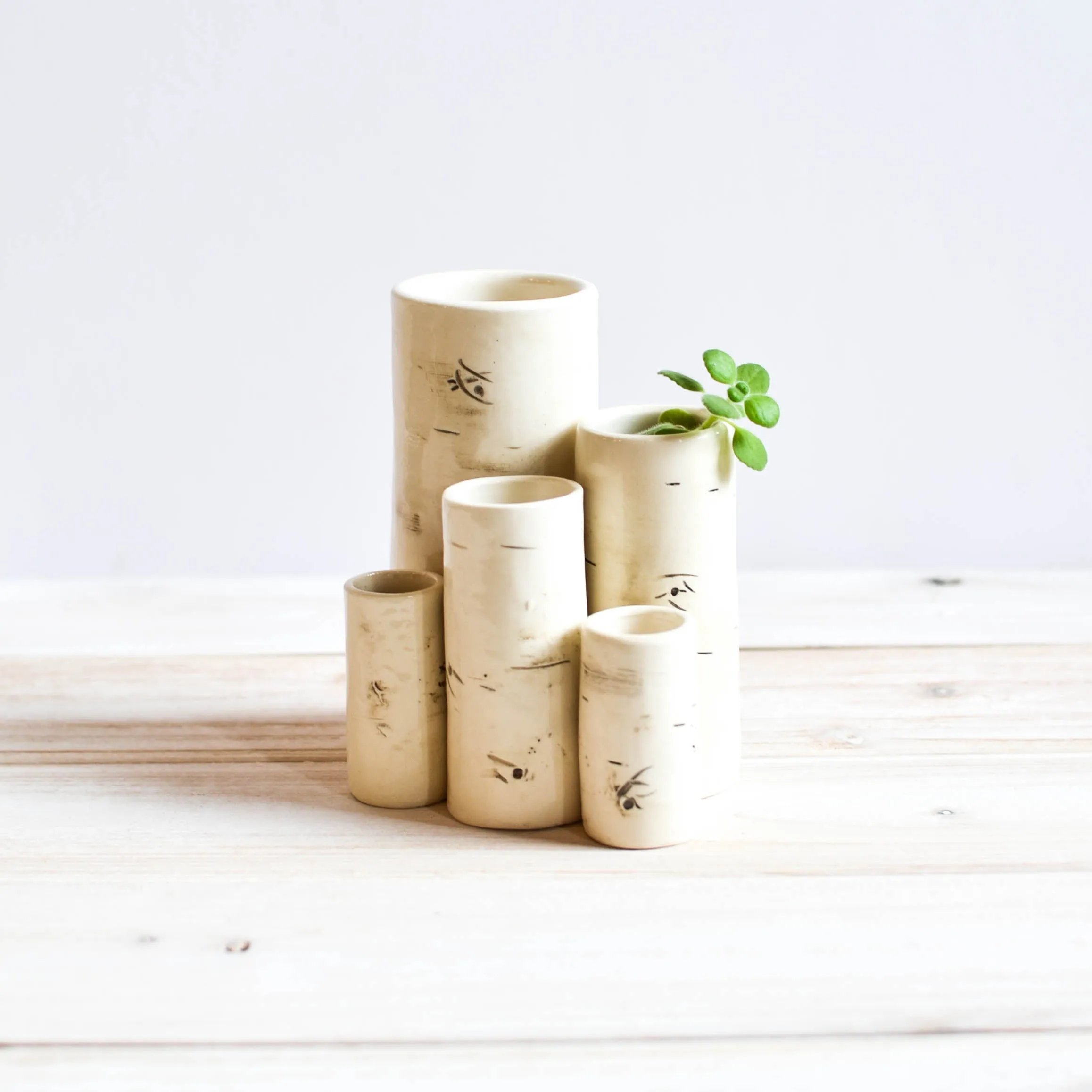 Birch Vases