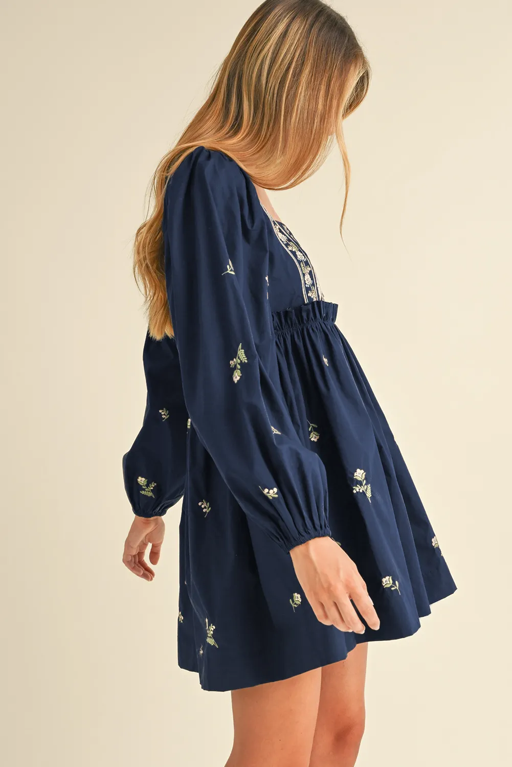 Blue Floral Embroidered Puff Sleeve Babydoll Dress