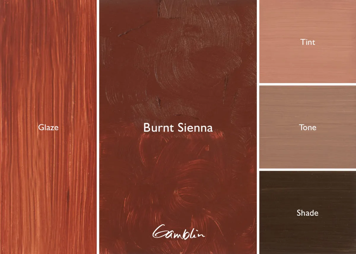 Burnt Sienna (Gamblin Artist Oil)