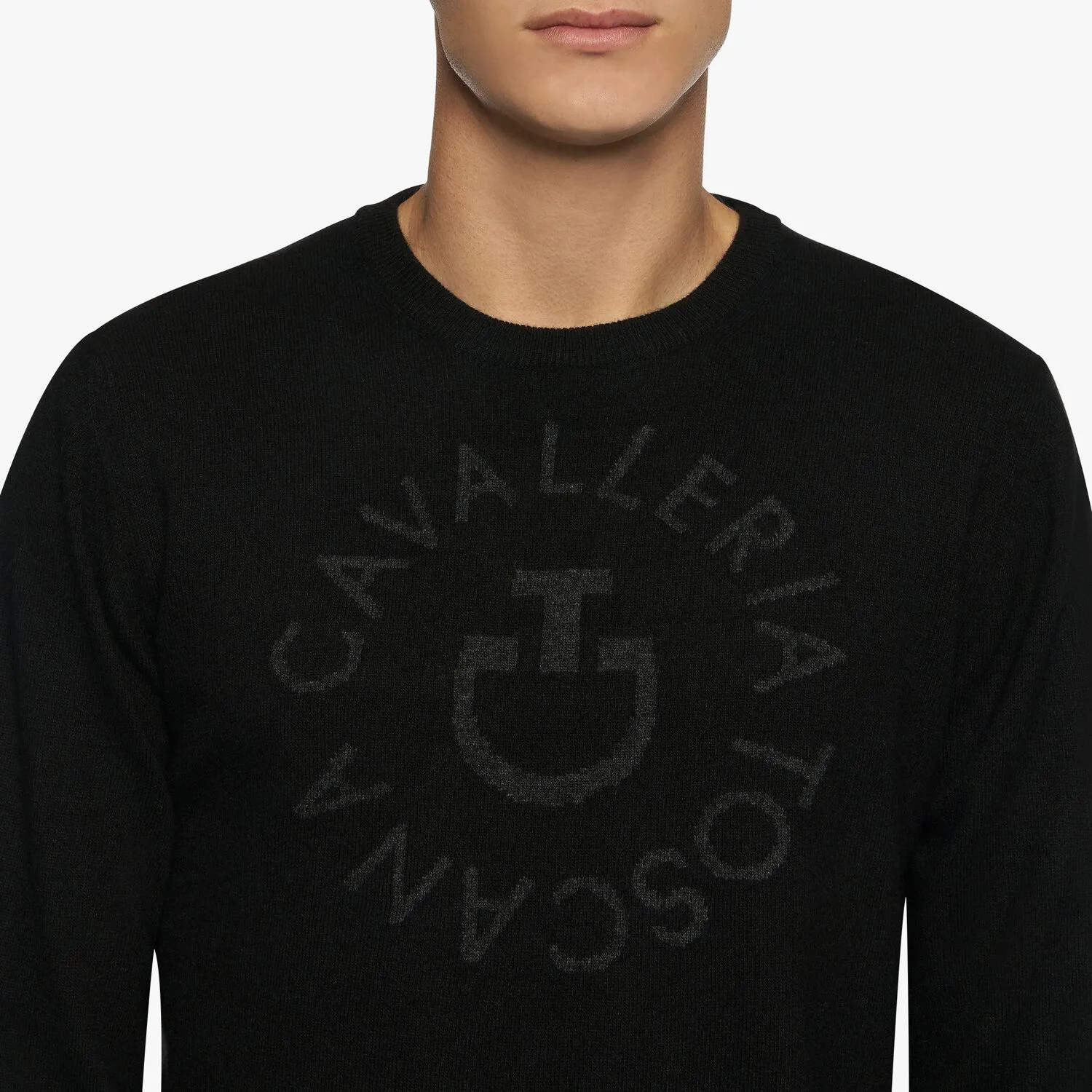 Cavalleria Toscana Cashmere Blend Orbit Crew-Men's