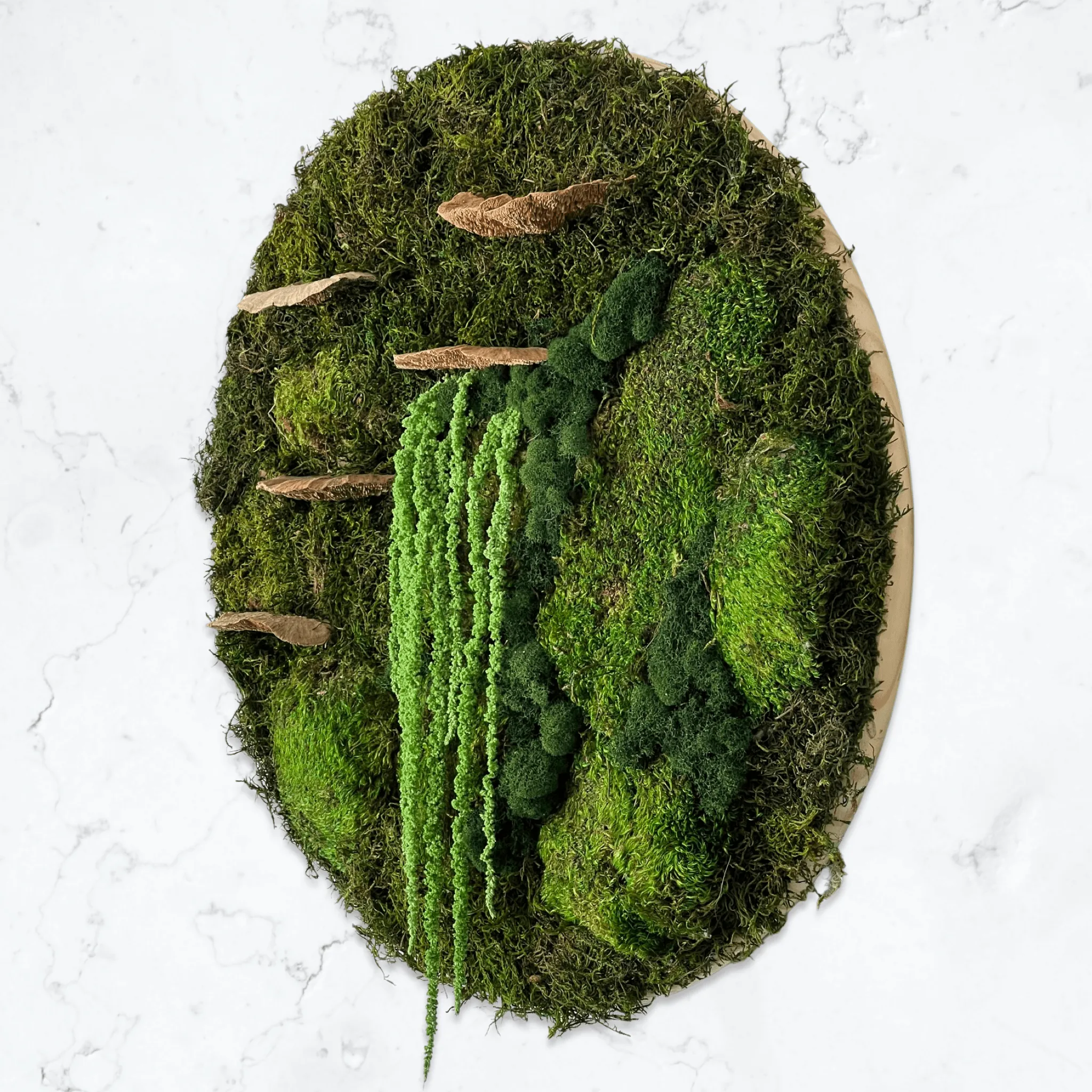 Circular Moss & Amaranthus Wall Art