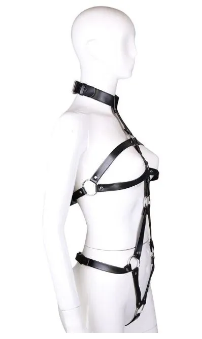 Collared Body Harness