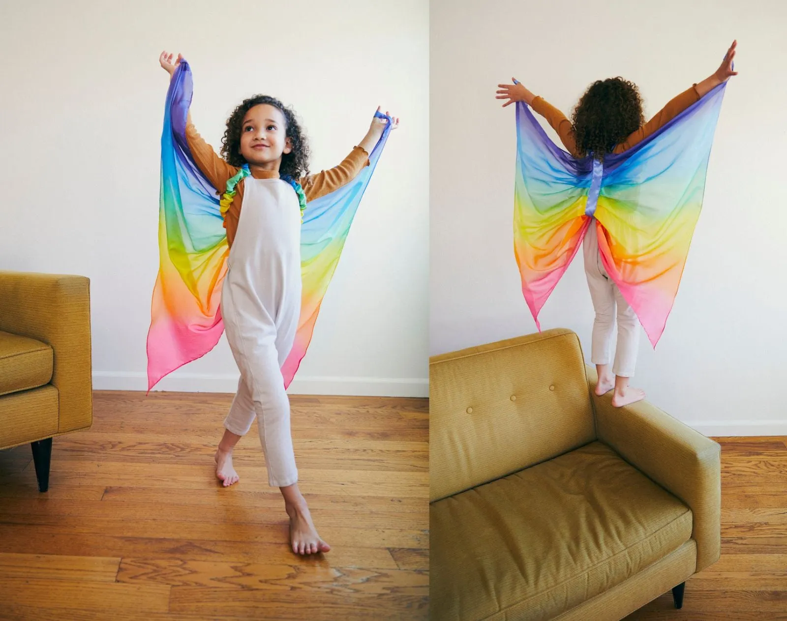 Fairy Wings - Rainbow