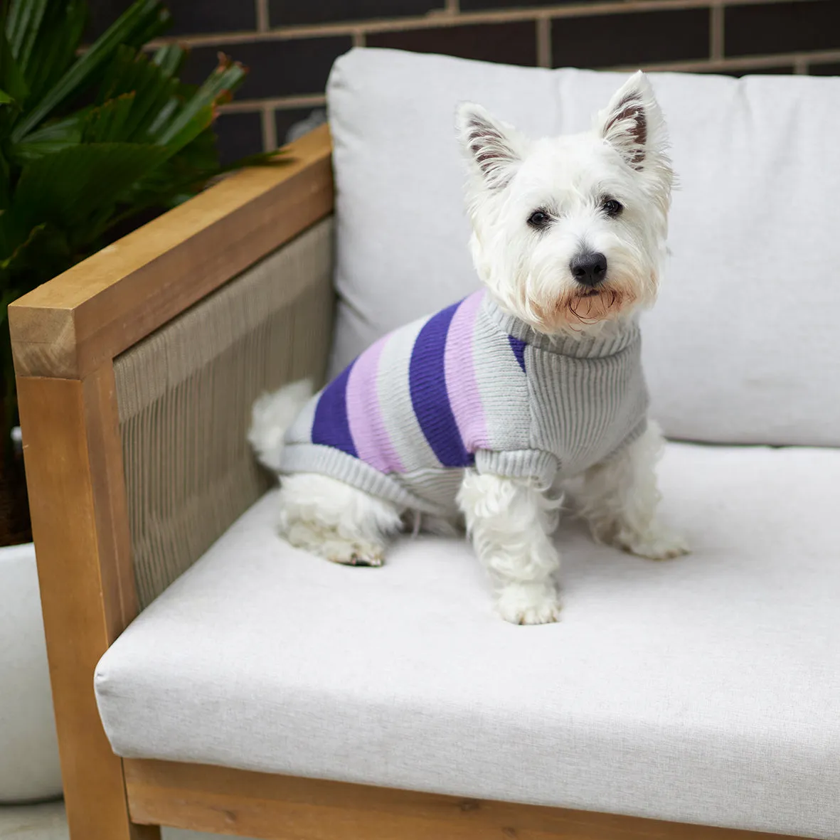 Kazoo Apparel Bumble Dog Jumper Lavender Large ***