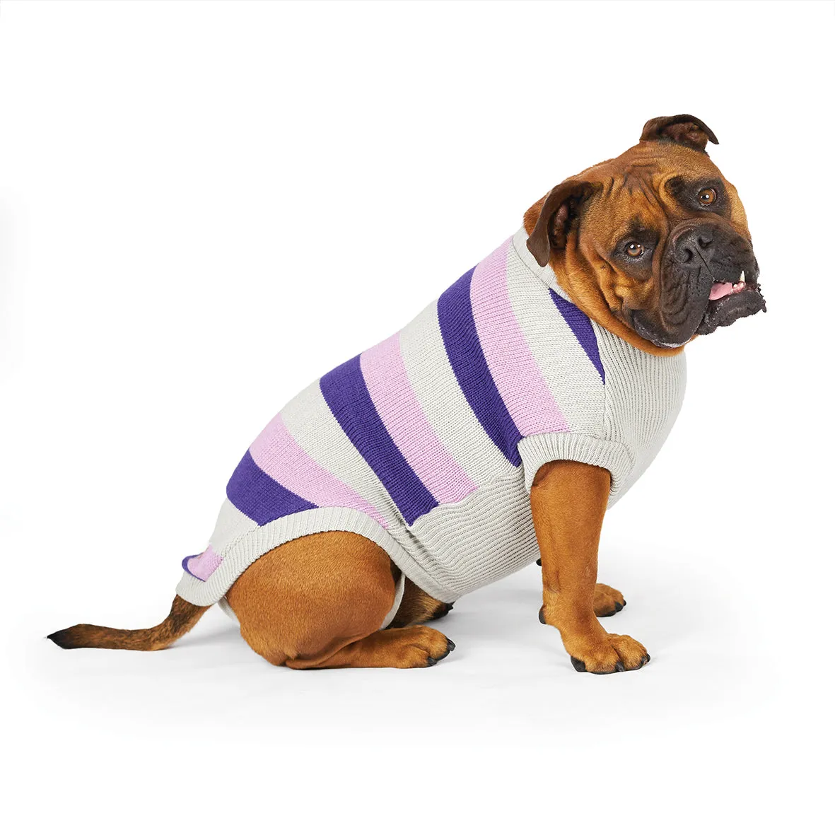 Kazoo Apparel Bumble Dog Jumper Lavender Large ***