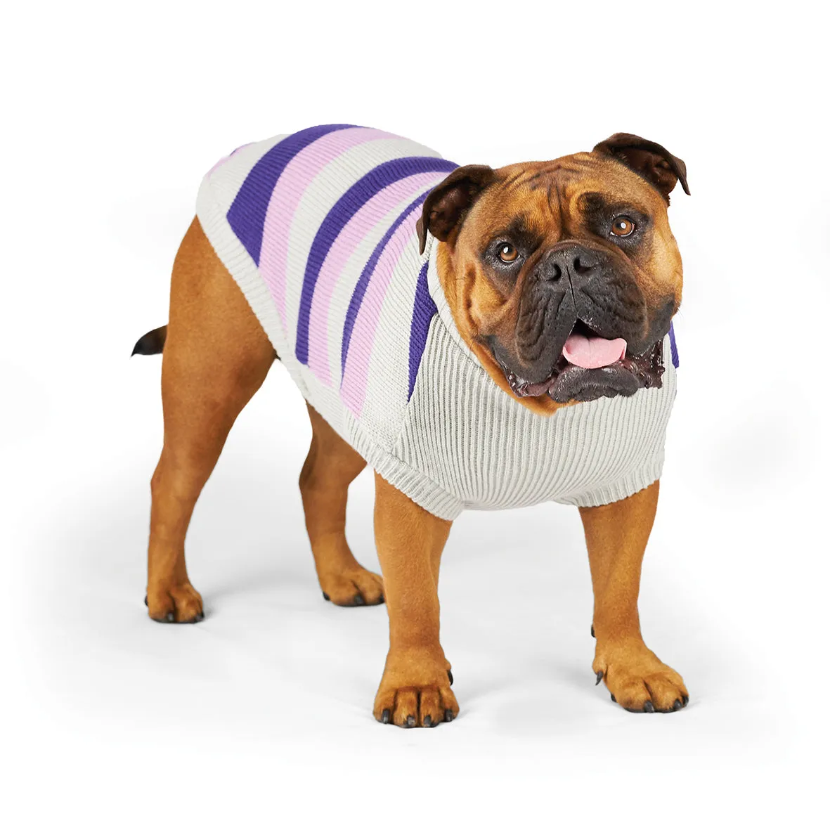 Kazoo Apparel Bumble Dog Jumper Lavender Large ***