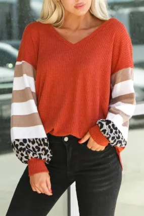 Leopards and Stripes Sweater