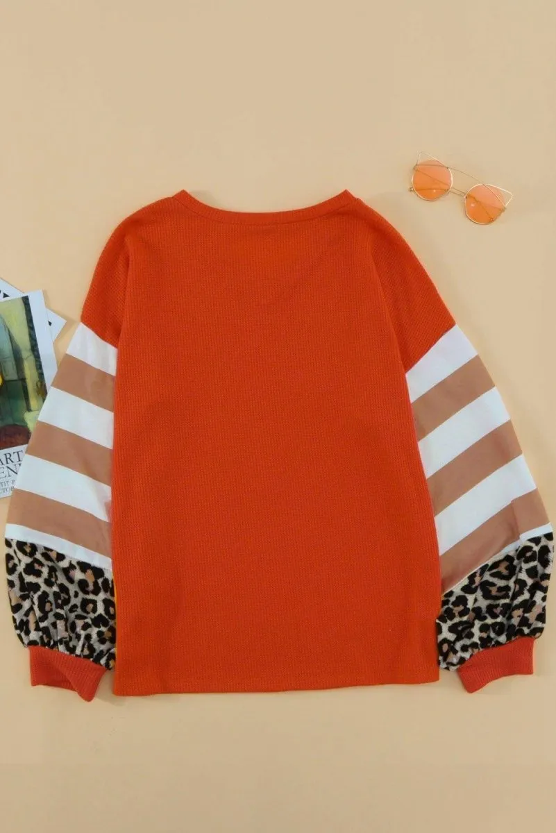 Leopards and Stripes Sweater