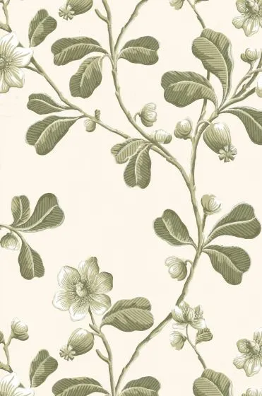 Little Greene Wallpaper Broadwick Street Garden