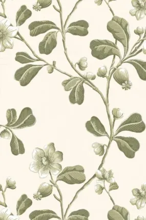 Little Greene Wallpaper Broadwick Street Garden