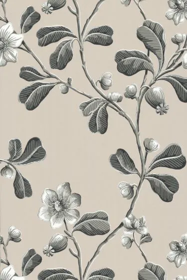 Little Greene Wallpaper Broadwick Street Mono