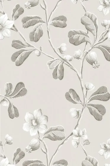 Little Greene Wallpaper Broadwick Street Pitch