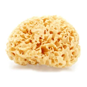 Natural Rock Island Sea Wool Body Sponge