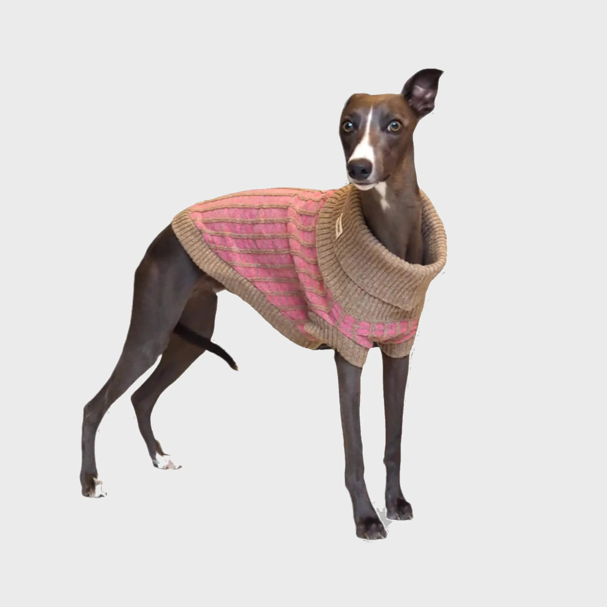 Paddy Dog Jumper Pink