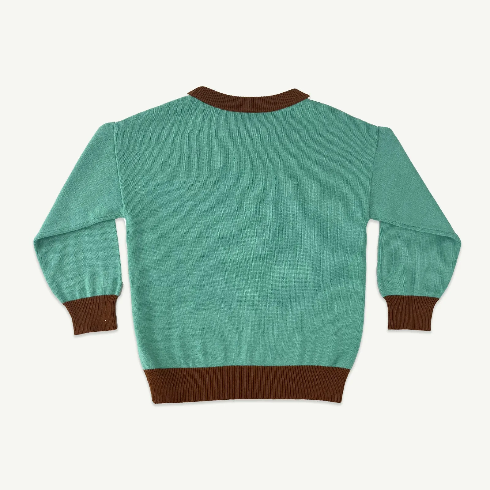 Rad Team Organic Cotton Knit Kids Jumper - Cyan