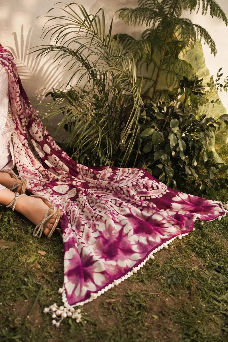 Sana Safinaz Muzlin Spring Lawn Collection 2023 – M231-020B-CJ